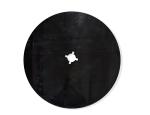 AFB-DIS000000000 Tarpstop (OEM) 5th Wheel Disk