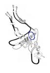 Agri-Cover 70446 1/4 14 Ga. Terminal Ring