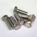 1703579 Shur-Co (OEM) Stainless Cap Screw - 3/8 x 1 16
